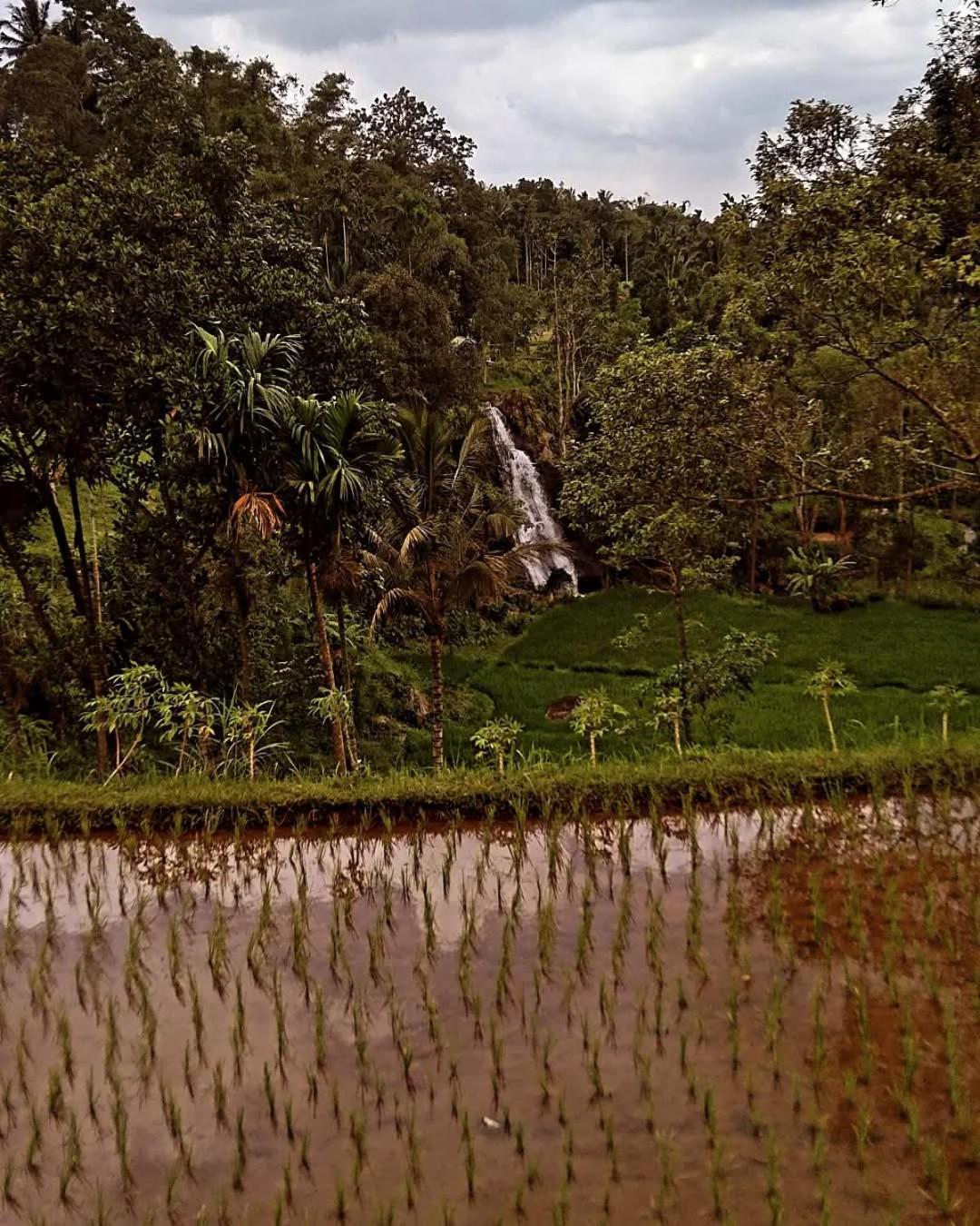 Hotel Satu Lingkung Tetebatu Exteriér fotografie