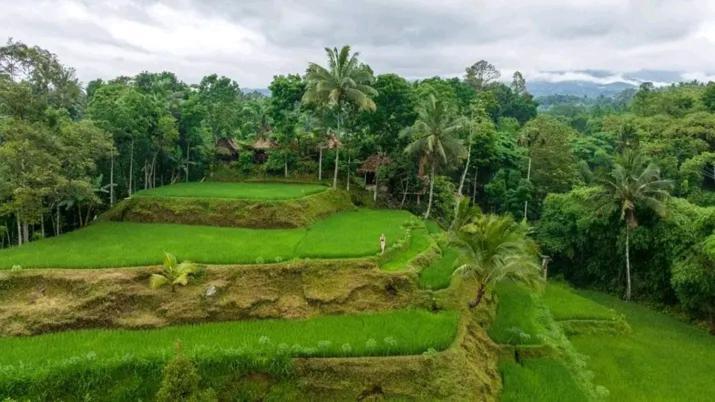 Hotel Satu Lingkung Tetebatu Exteriér fotografie