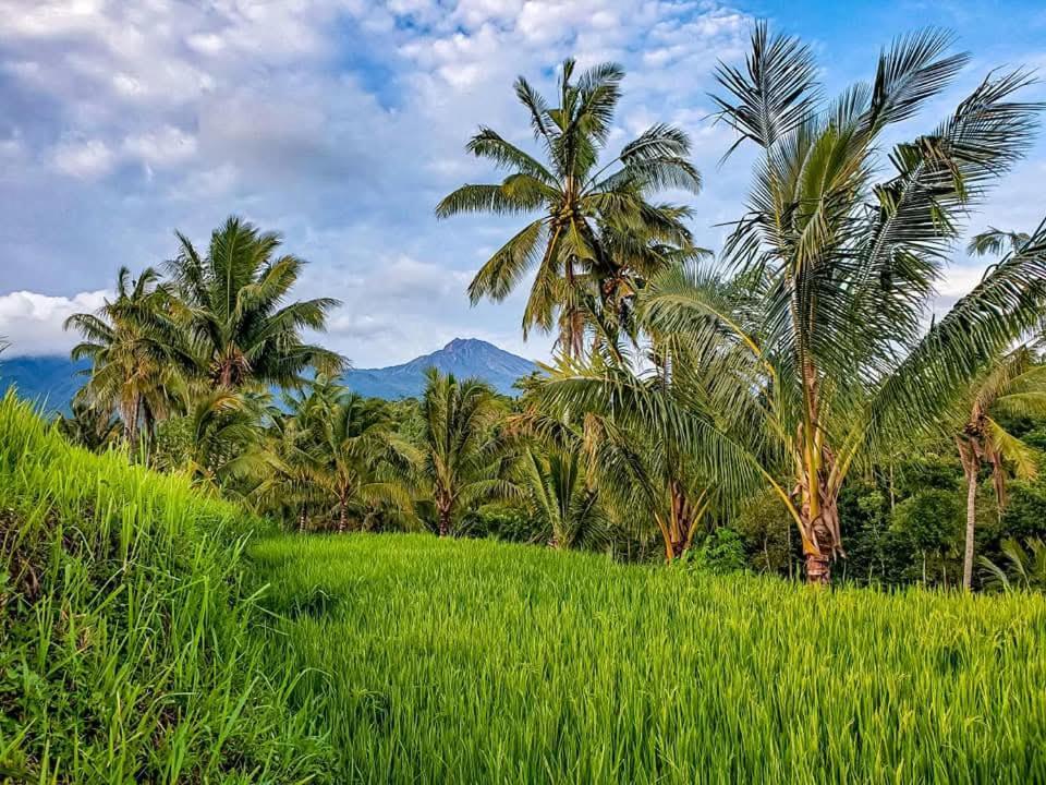 Hotel Satu Lingkung Tetebatu Exteriér fotografie