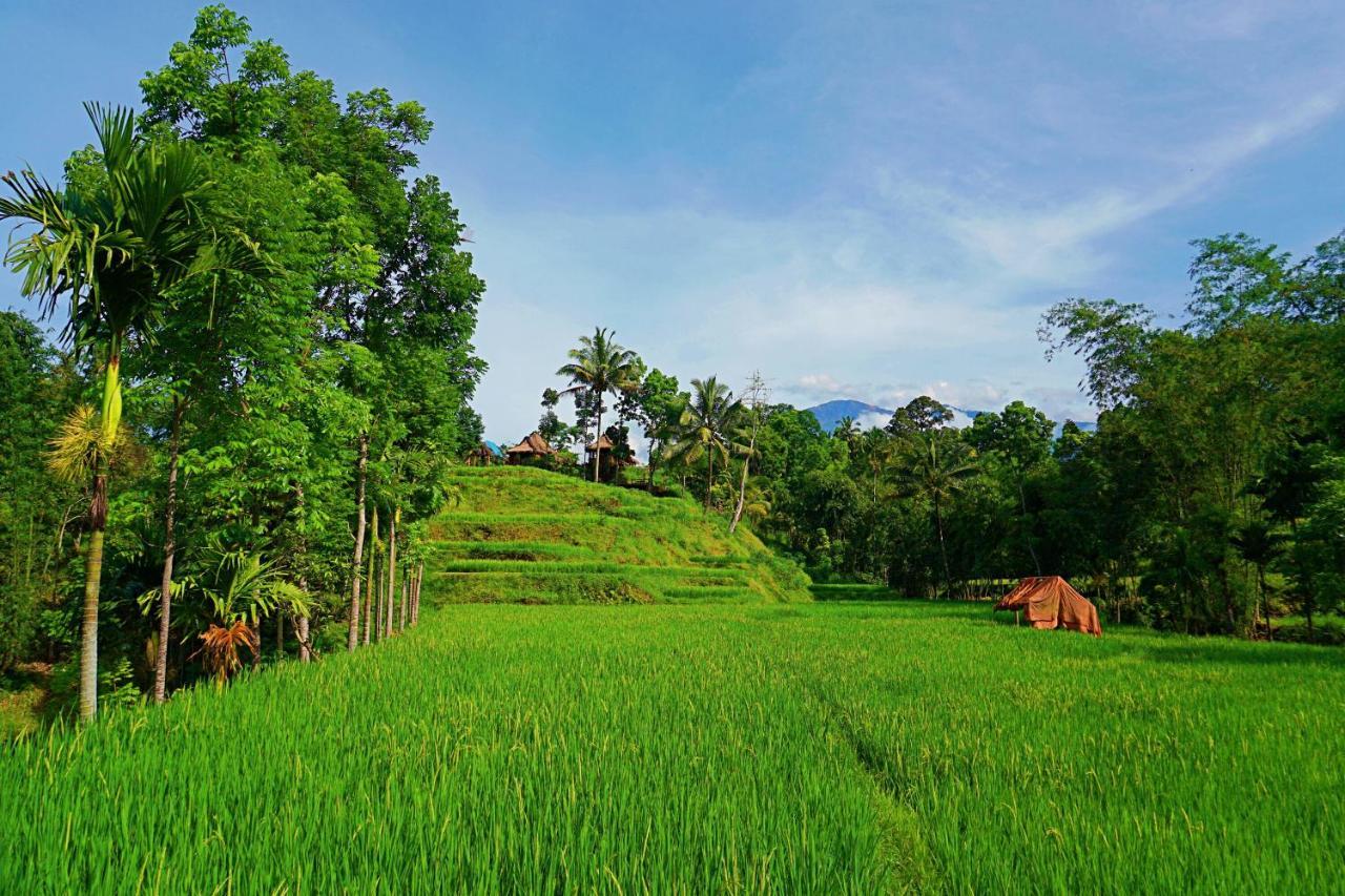 Hotel Satu Lingkung Tetebatu Exteriér fotografie