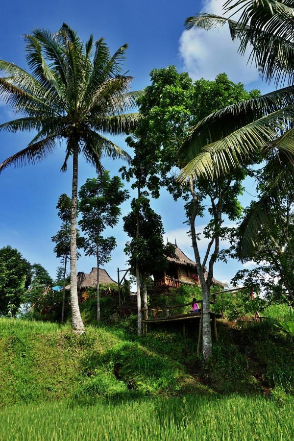 Hotel Satu Lingkung Tetebatu Exteriér fotografie