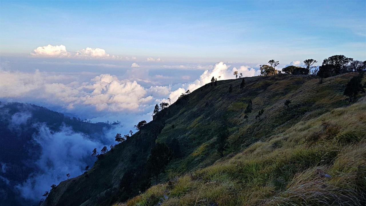 Hotel Satu Lingkung Tetebatu Exteriér fotografie